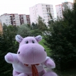 Moje rov kamardka Hrozinka